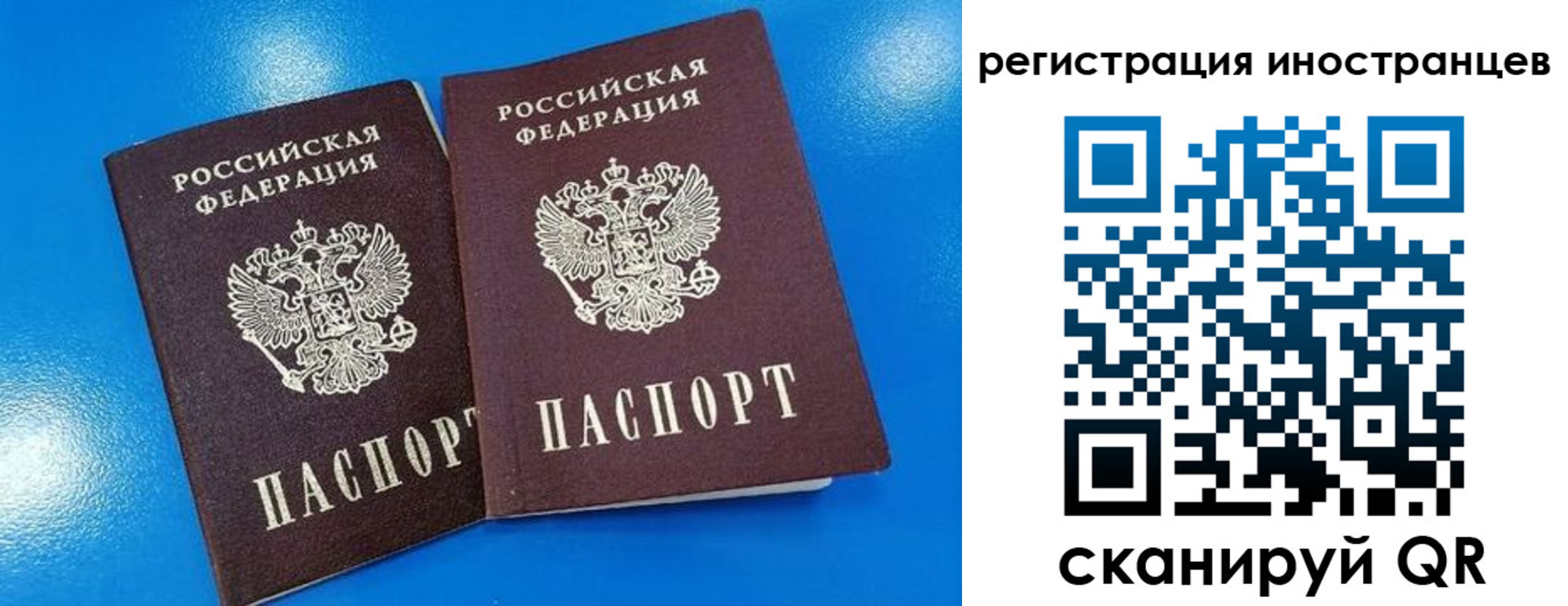временная регистрация поиск в Мариинском Посаде