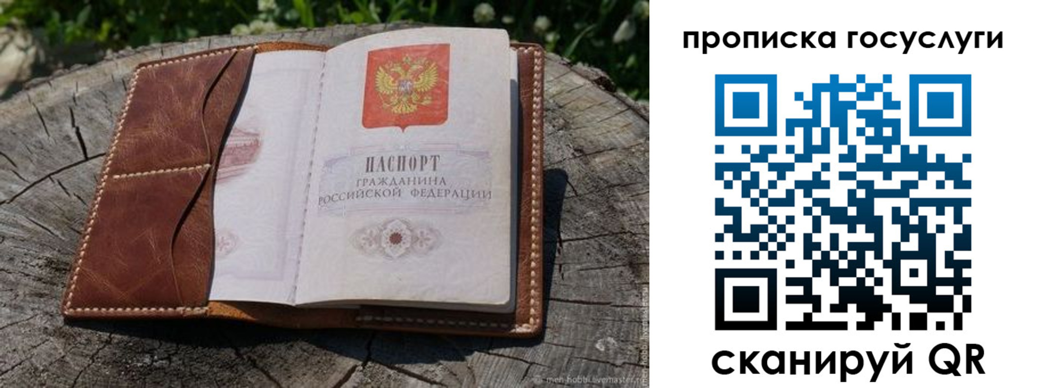 прописка для школы в Мариинском Посаде